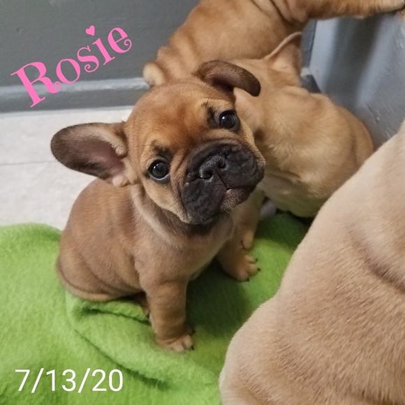 Meet your Posher, Teresa - Picture 3 of 6